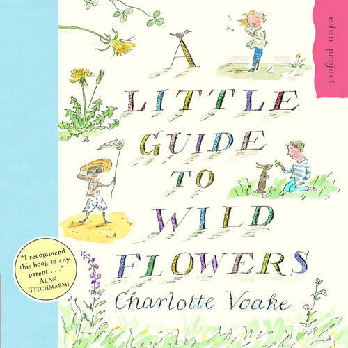 A Little Guide To Wild Flowers (Paperback)