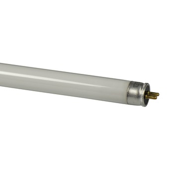 Philips TL-buis 8W cool wit