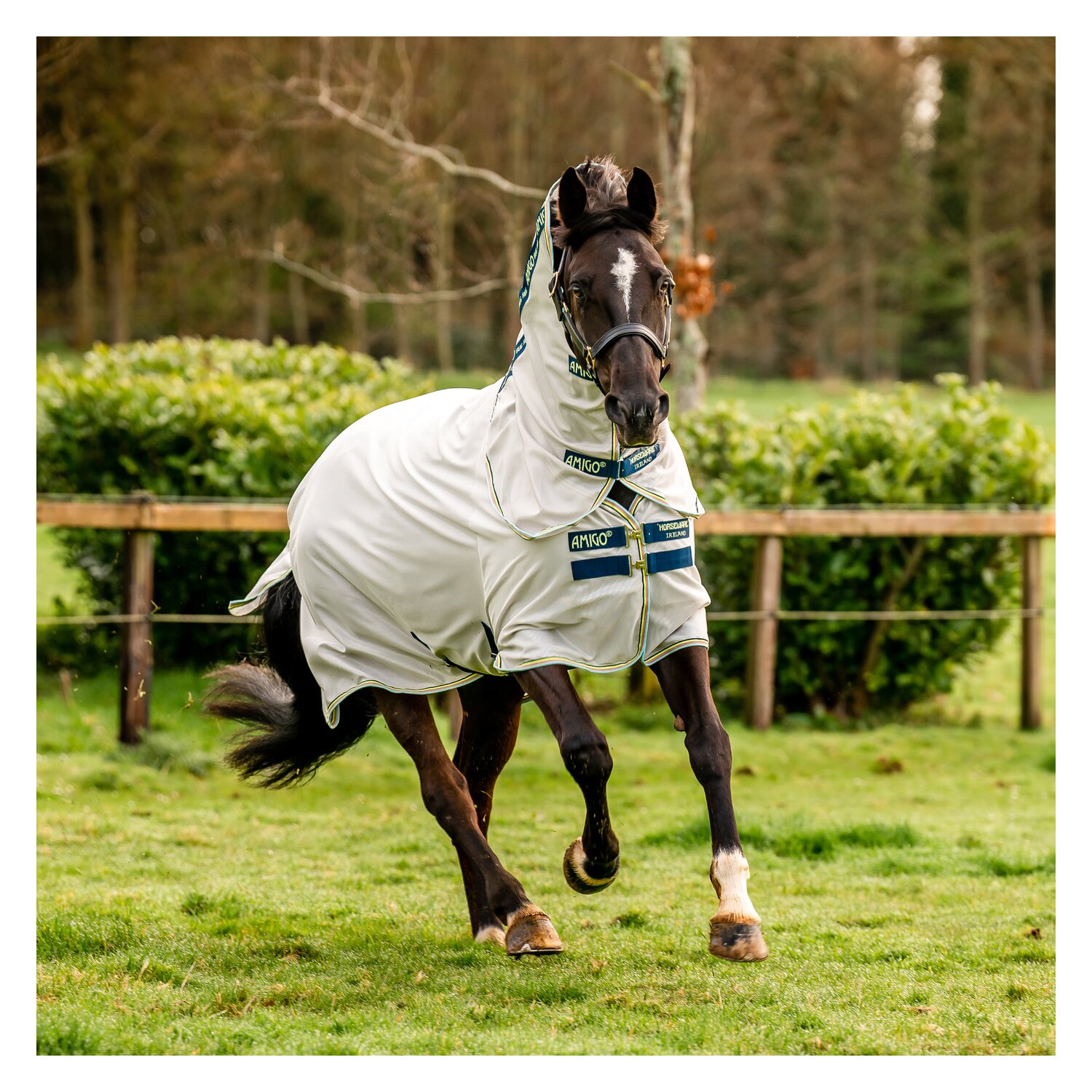 HORSEWARE Fliegendecke AMIGO Bug Rug  - lunar/rock/navy/lime
