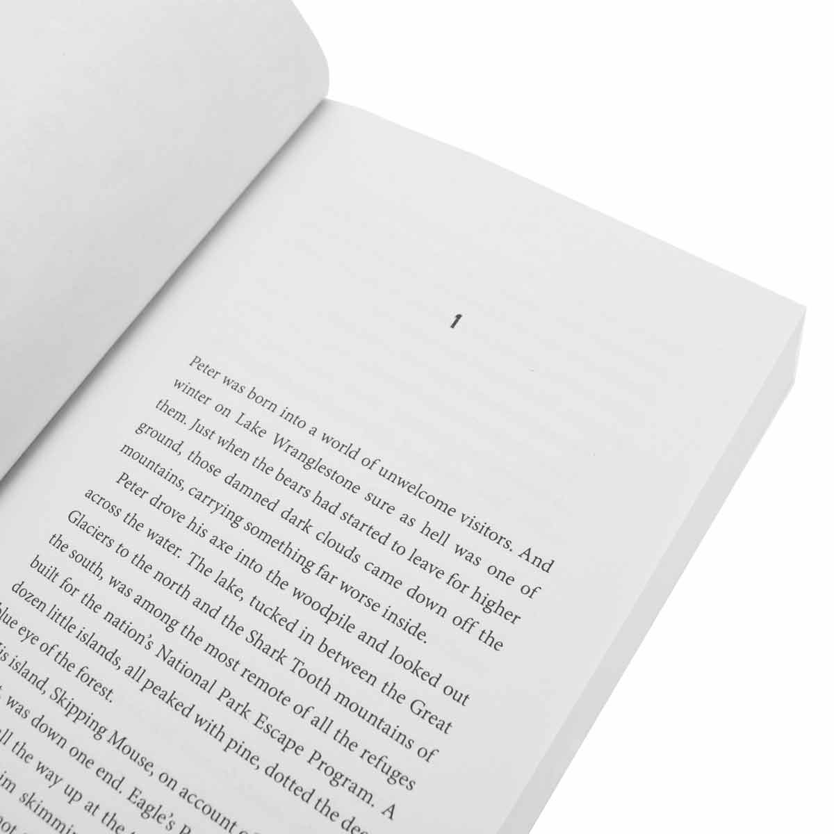 Wranglestone (Paperback)