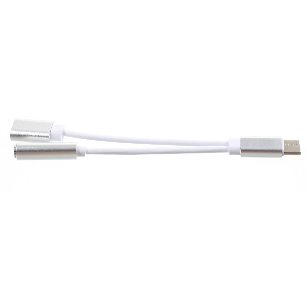 2in1 USB C auf 3.5mm AUX   USB C Adapter (12.5 cm) - Weiss / Silber