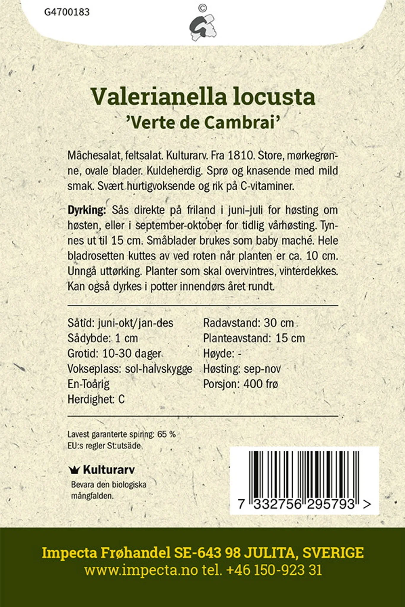 Valerianella locusta 'Verte de Cambrai' Vårsalat 'Verte de Cambrai'