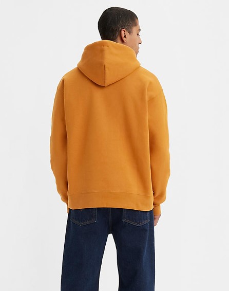 Levi's Skateboarding Skate Hooded Sweatshirt Sorrel