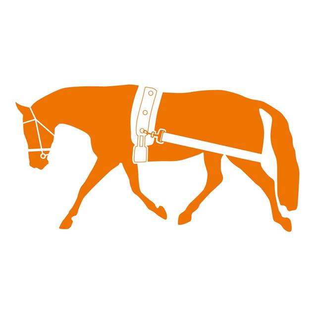 Longeerband Elastisch Harry's Horse Zwart