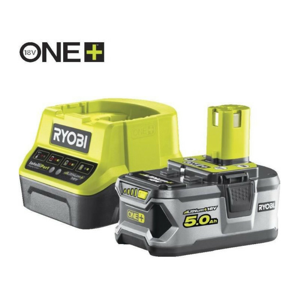 1 batterie lithium+ 18v - 5,0 ah et 1 chargeur rapide 2,0 a