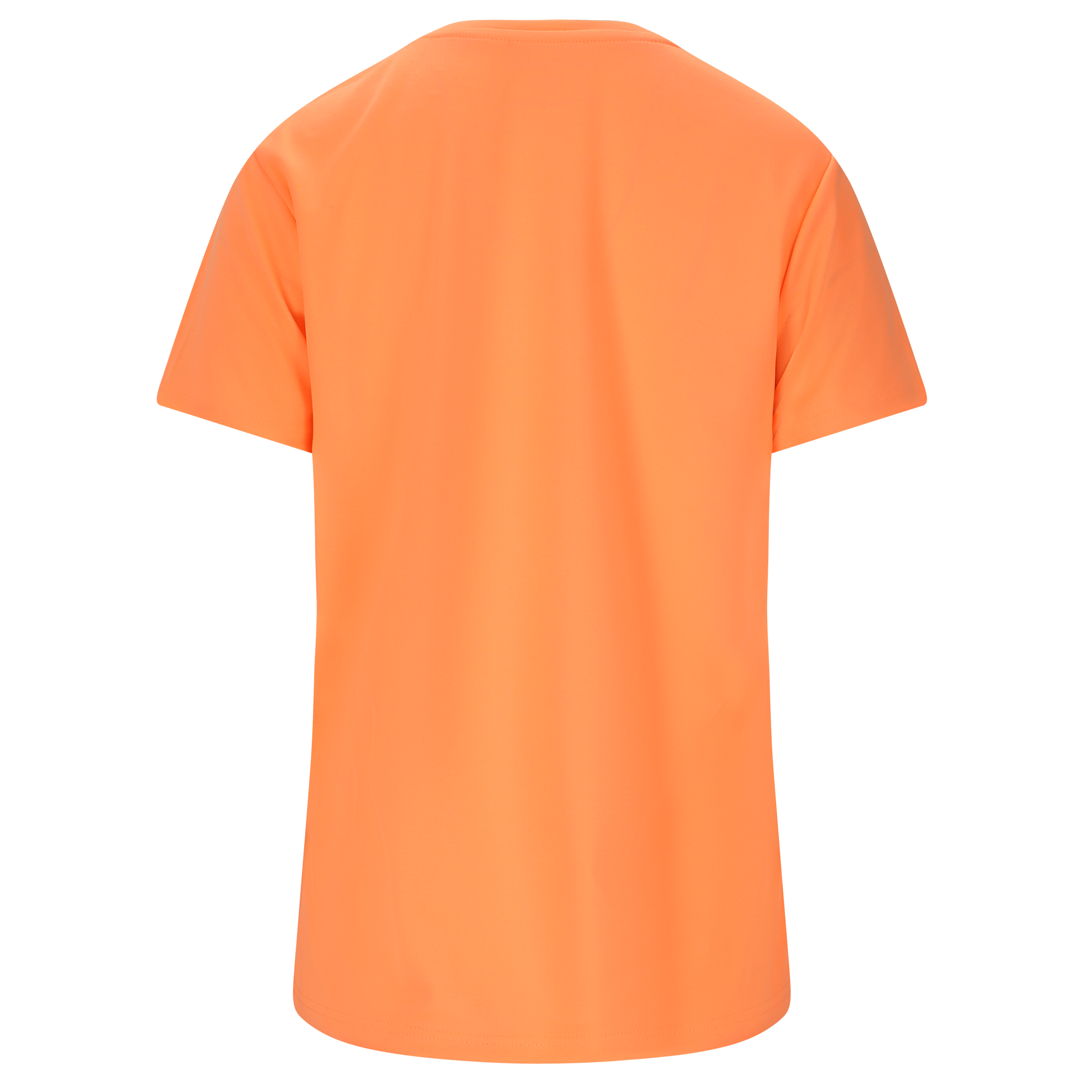 Endurance Vizuv V3 W SS Performance Tee - Treningstøy