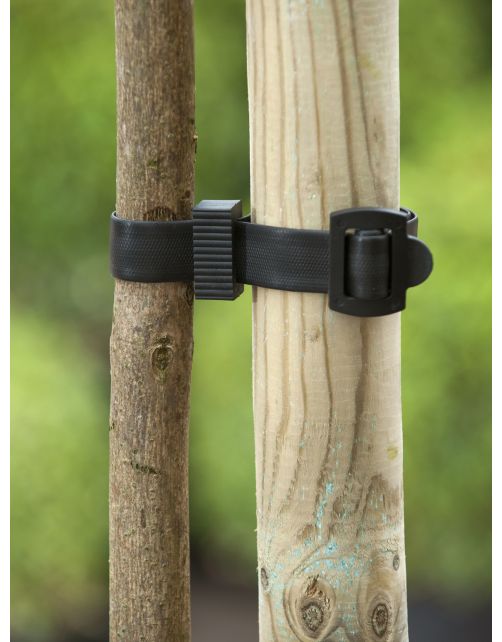 Nature Boomband - Klim-En Geleide Artikel - 2.5x45 cm Zwart