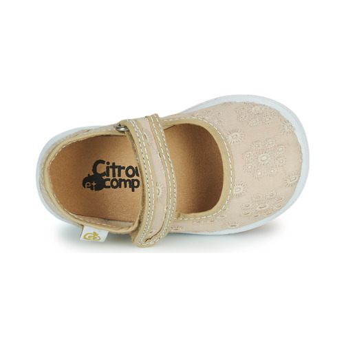 Citrouille et Compagnie - OSAPA - Beige