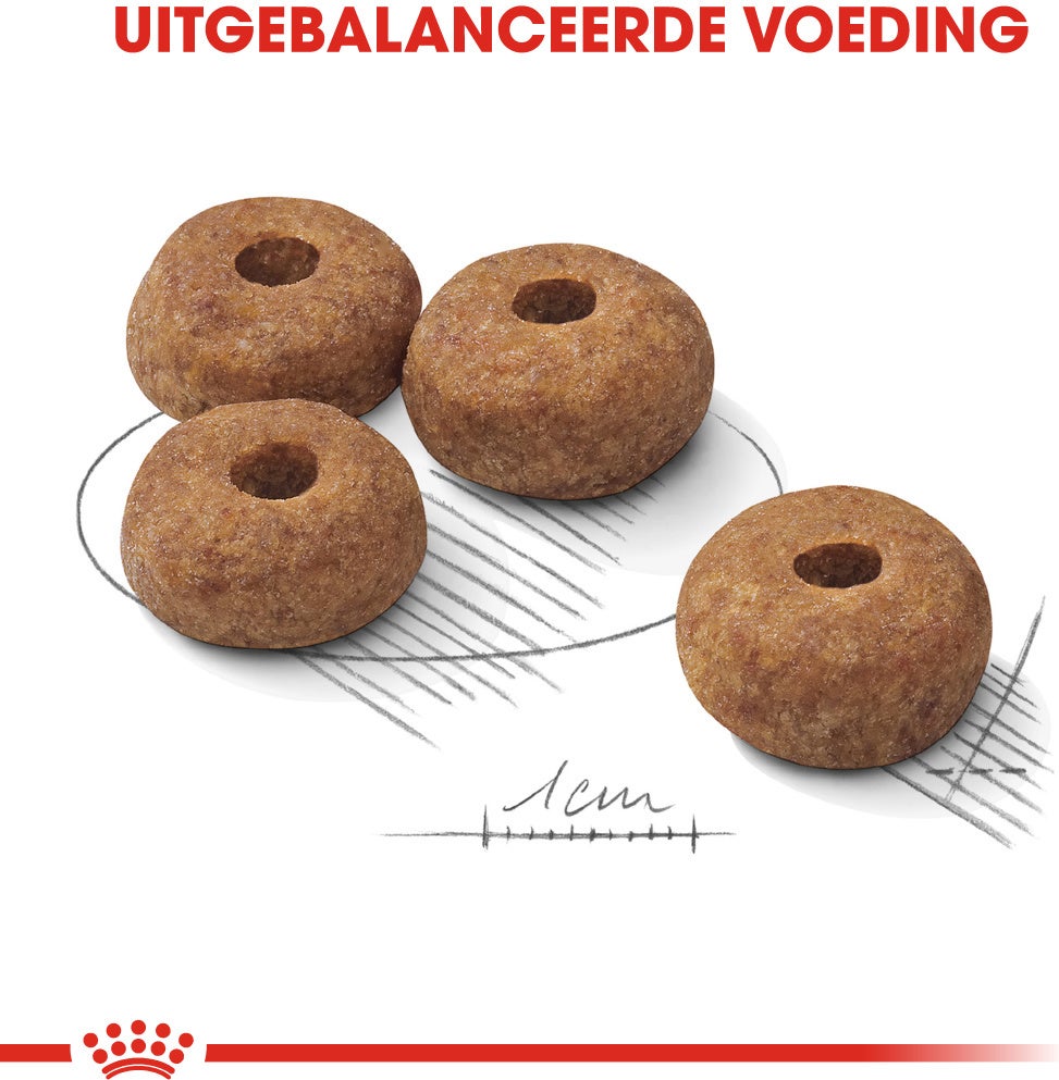 Royal Canin hondenvoer Sterilised Medium 3 kg