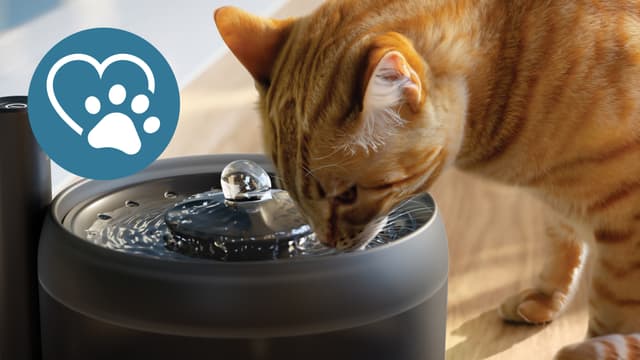 Philips Pet Series vandfontæne PAW3210/02 (black)