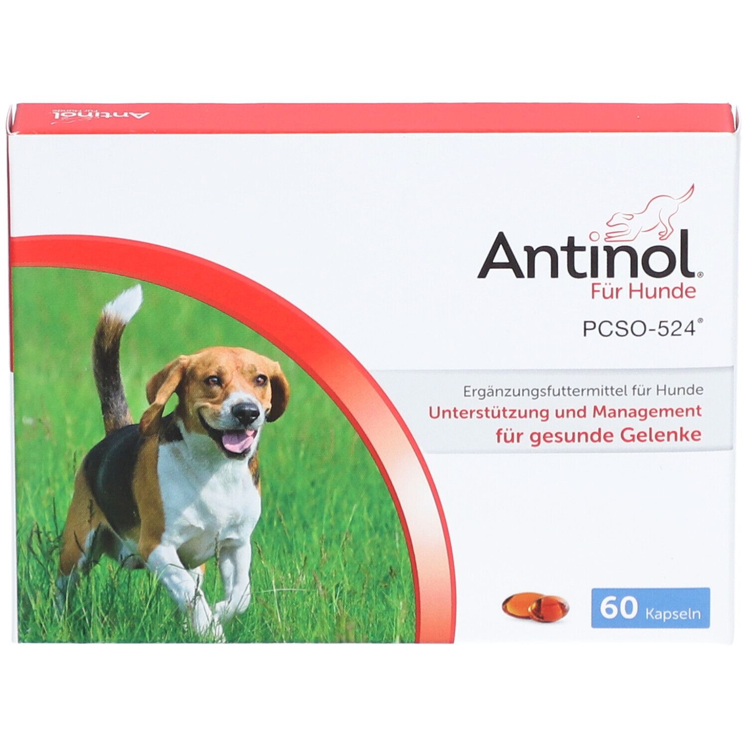 Antinol® Für Hunde
