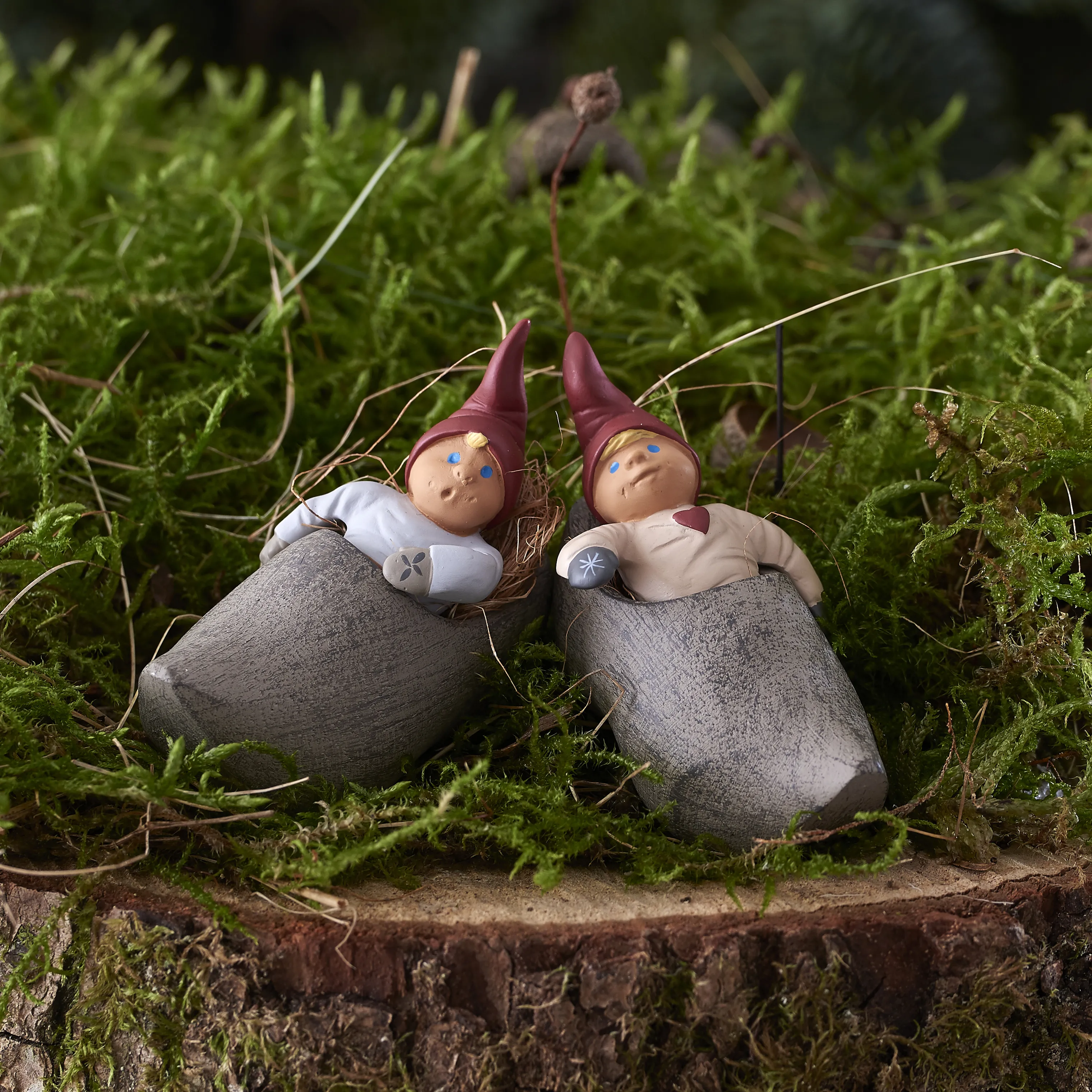 Klarborg Nisse - Milas