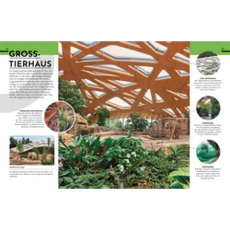 DK Verlag Exklusive Einblicke! Zoo