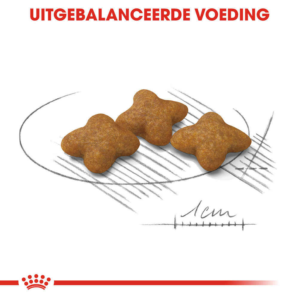 Royal Canin X-Small Sterilised - Hondenvoer