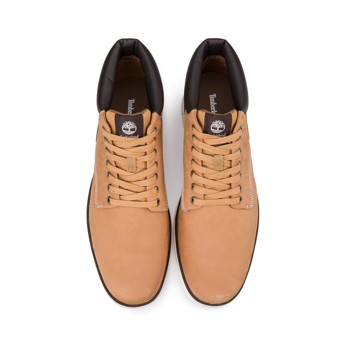 TIMBERLAND<br>Tênis Hoge Bradstreet