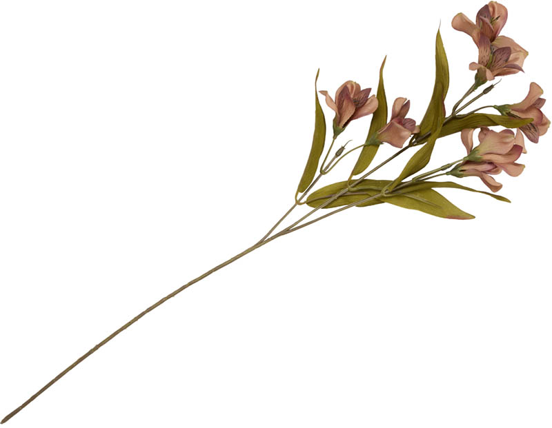 Inkalilje stilkblomst 58 cm
