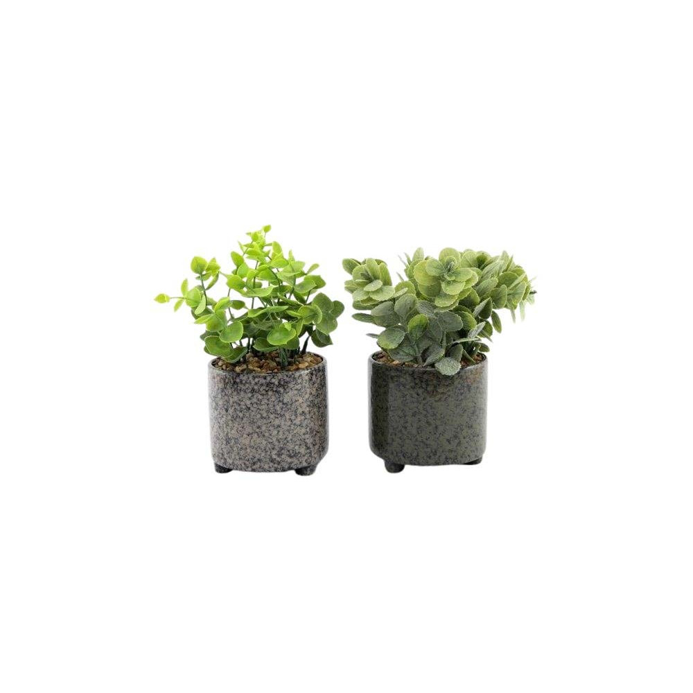 Plante succulente artificielle en pot émaillé (lot de 2)