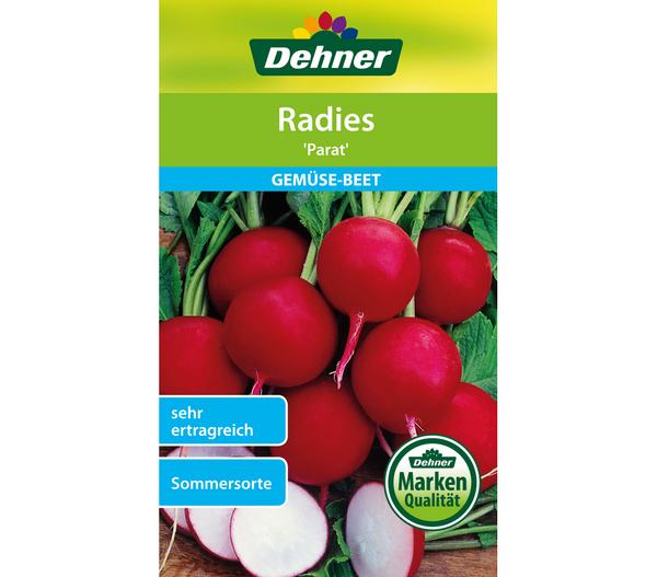 Dehner Samen Radies 'Parat'