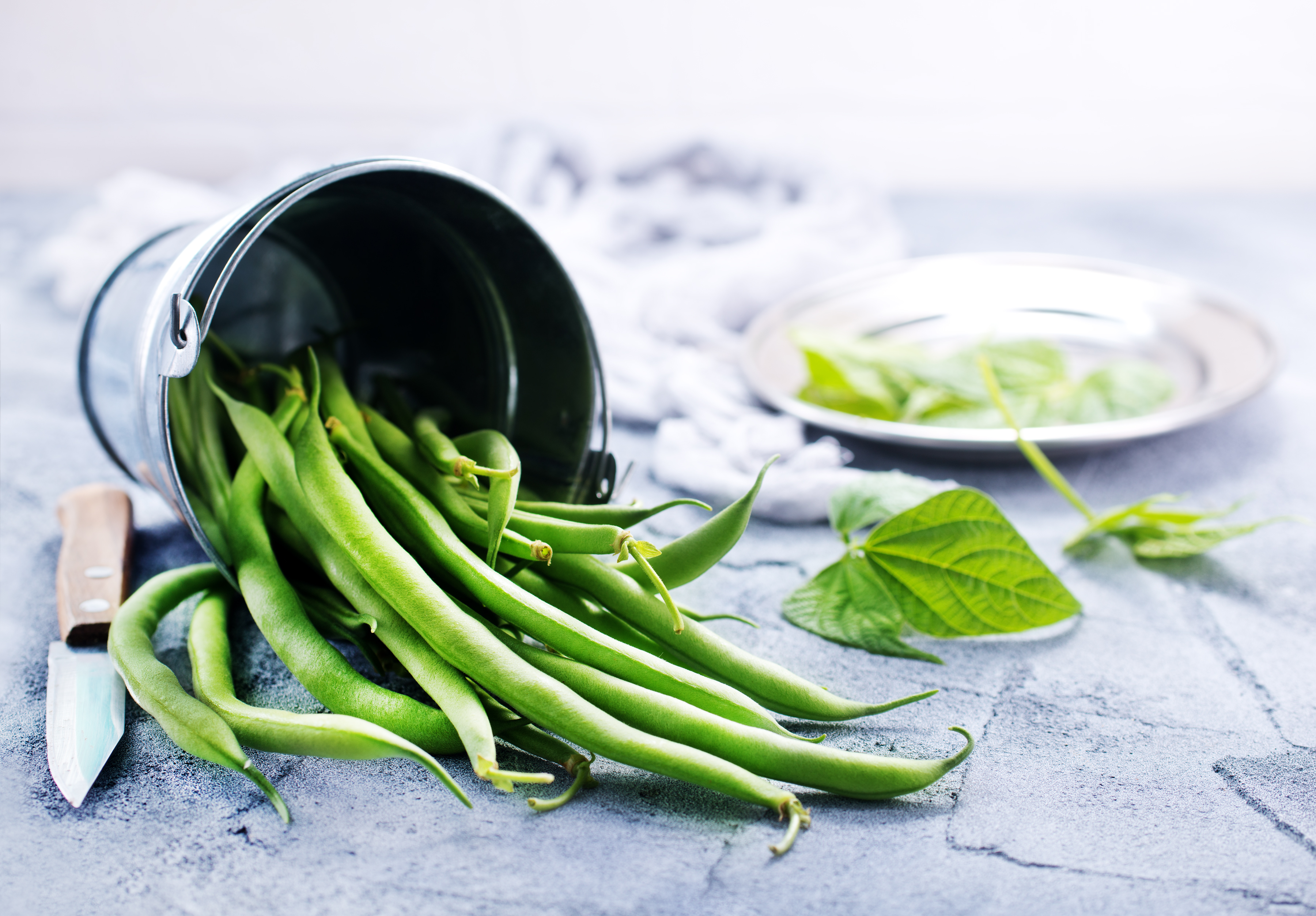 Sachet de graines de haricots nain mangetout contendeur - sachet de 200 grammes - petite entreprise française - made in france