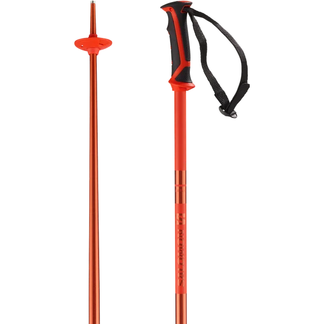 ARCTIC  Alpinstöcke Unisex