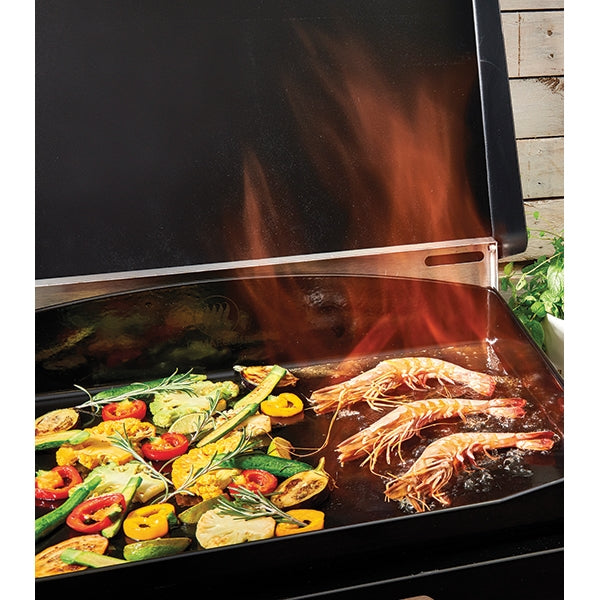 Plancha électrique 2 brûleurs 4420.00 De Buyer By Le Marquier