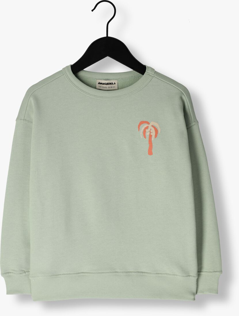 AMMEHOELA mint ammehoela sweater am.rocky.63