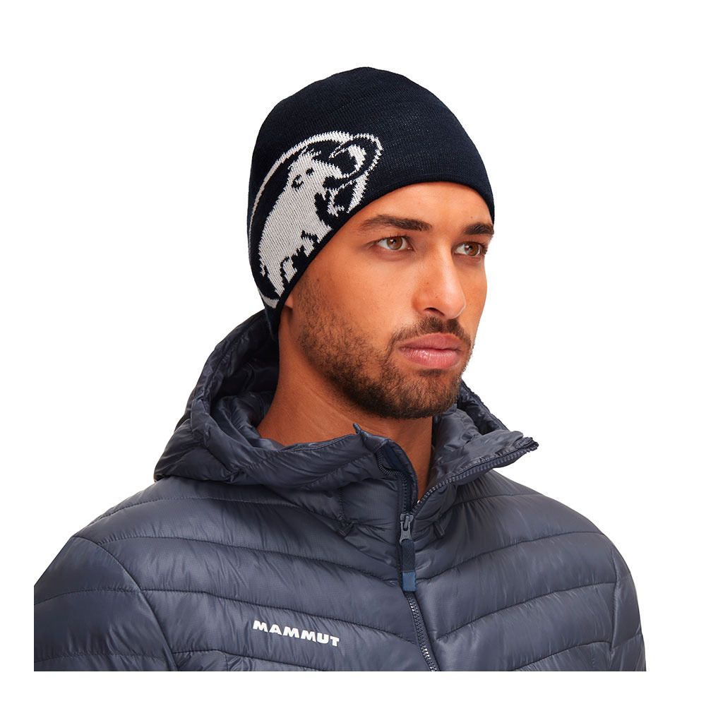 Mammut TWEAK - Bandeau marine/white