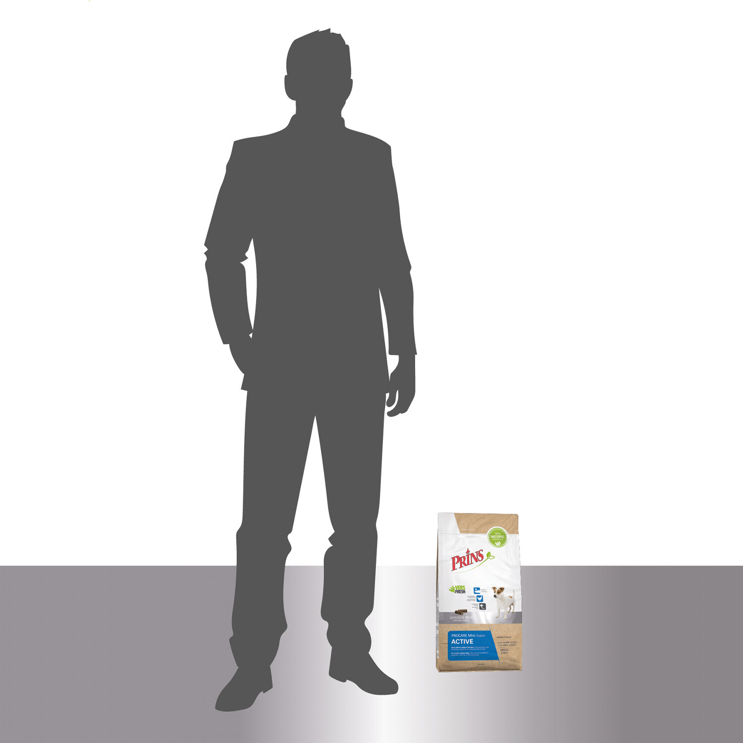Prins ProCare Mini Super Active