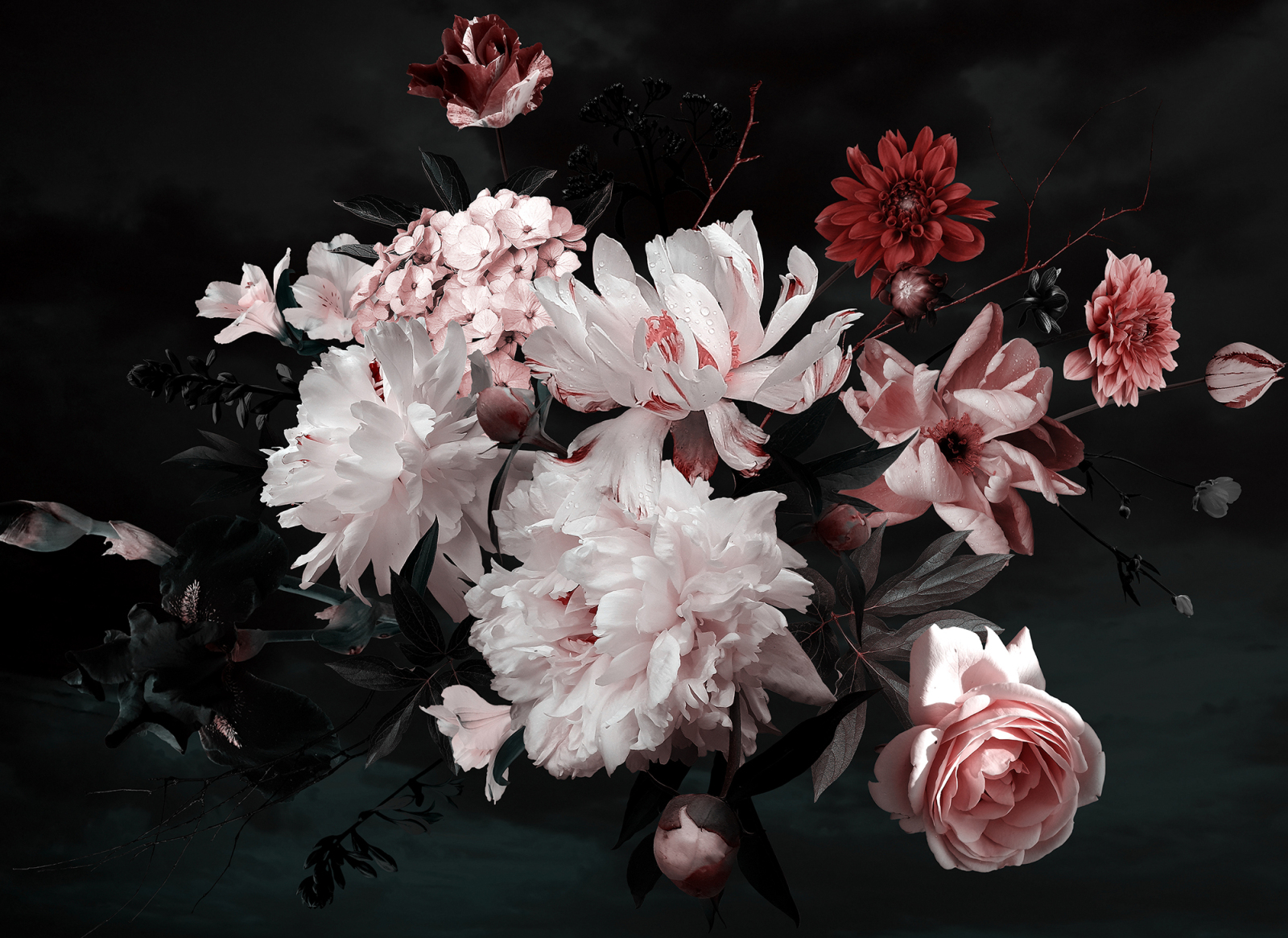 Fototapete DESIGNWALLS - weiß-rosa - Blumen - 2,55 Meter