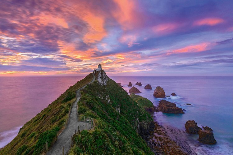Mark Gray - Nugget Point Lighthouse, The Catlins, South Island - New Zealand (Puzzle)