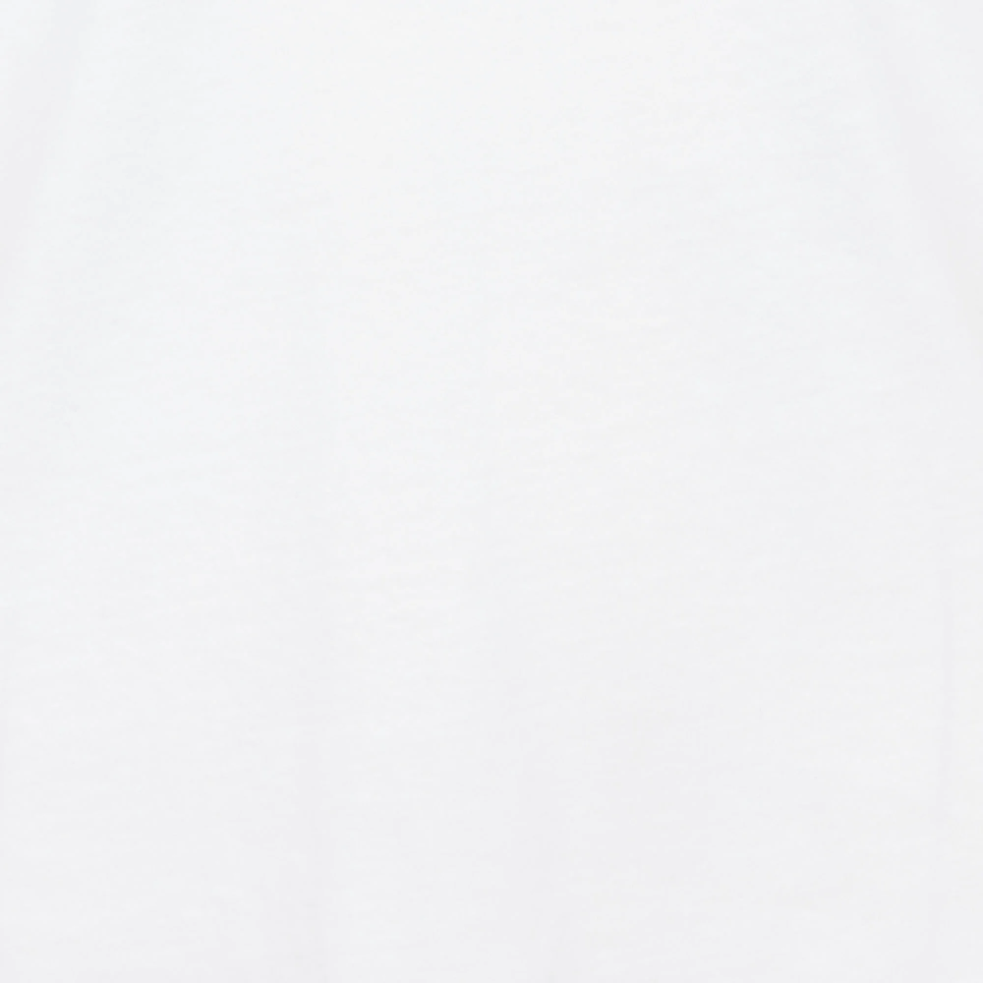 Tee-shirt col V en coton | Blanc