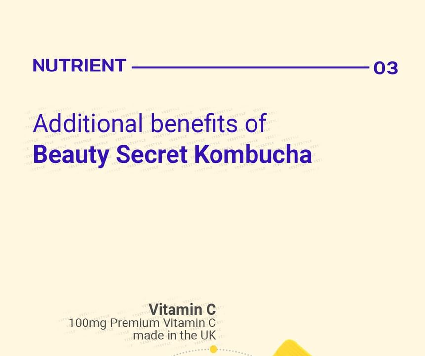 BOTO - Beauty Secret Kombucha Citroen Limoen