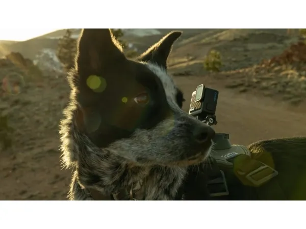 GoPro® | HERO