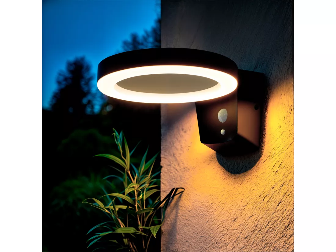 Applique Murale Extérieure Solaire LED 5W Aluminium avec Détecteur de Mouvement Aris Noir