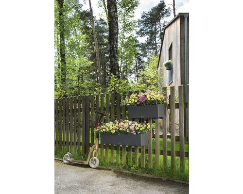 Lechuza Balconera Color bloembak, kunststof, 80x19x19 cm, grijs, inclusief grondbewateringssysteem en waterniveau-indicator