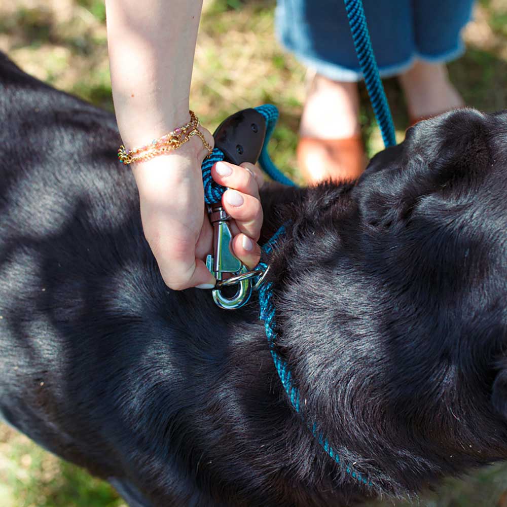 Laisse pour chiens sport extreme g8/120, longe en nylon robuste, poignée rembourrée confortable, azur-bleu