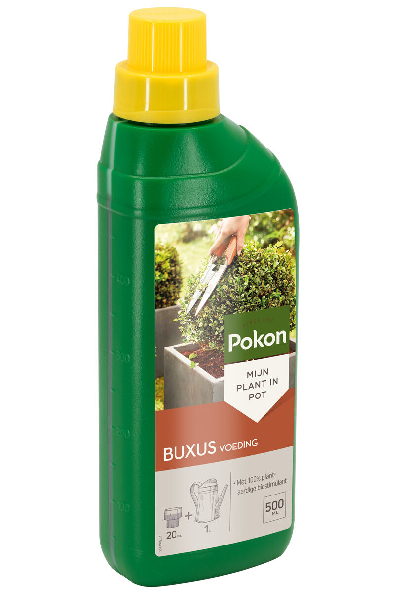 Pokon Buxus voeding - Siertuinmeststof - 500 Milliliter
