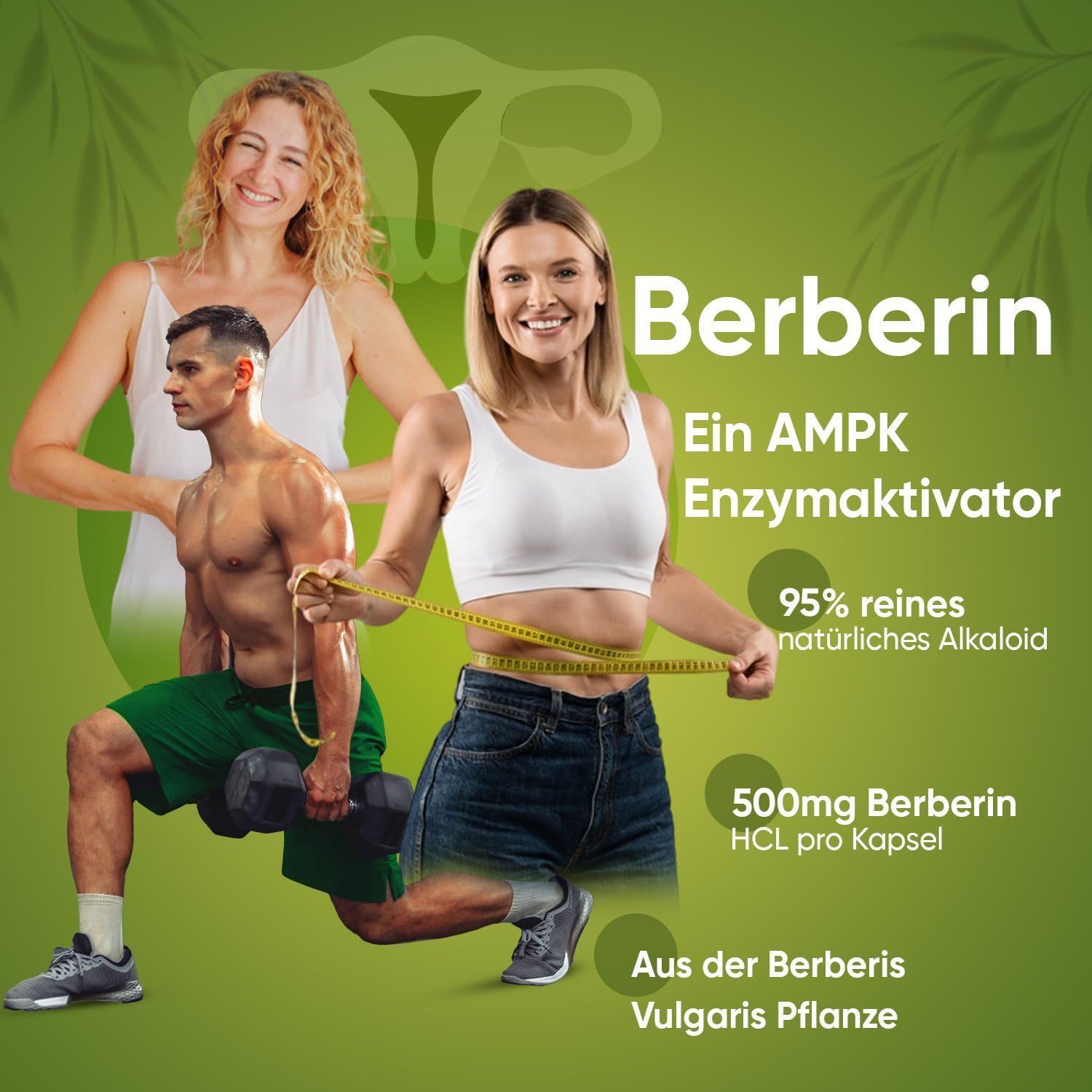 WeightWorld Berberin Hochdosiert