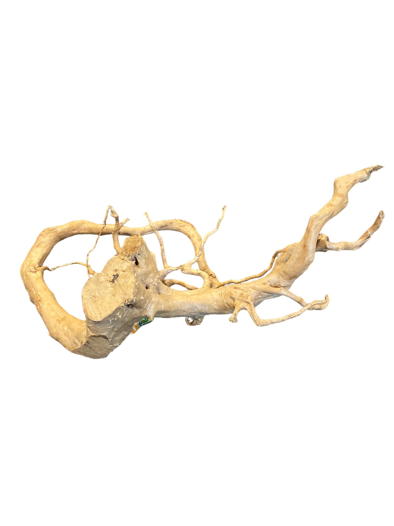 AquastoreXL Boomstronk XXL 70 - 100 cm 2kg - NR12 | natuurlijk hout