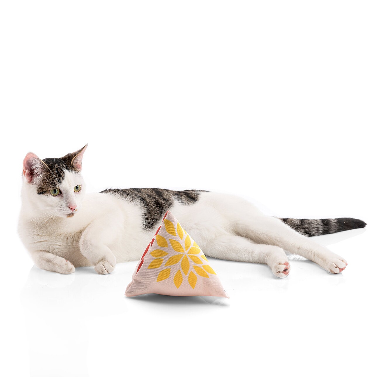 Canadian Cat Company Catnipspielzeug Catnip 6x Schmusepyramide Reggae