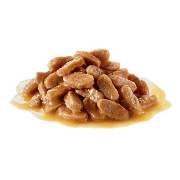 Ração Húmida Royal Canin Mini Puppy 85g