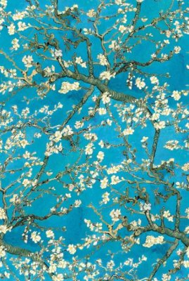 Almond Blossoms 3M Roll Wrap