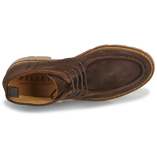 Pellet - MARIO - Velours oiled chocolat