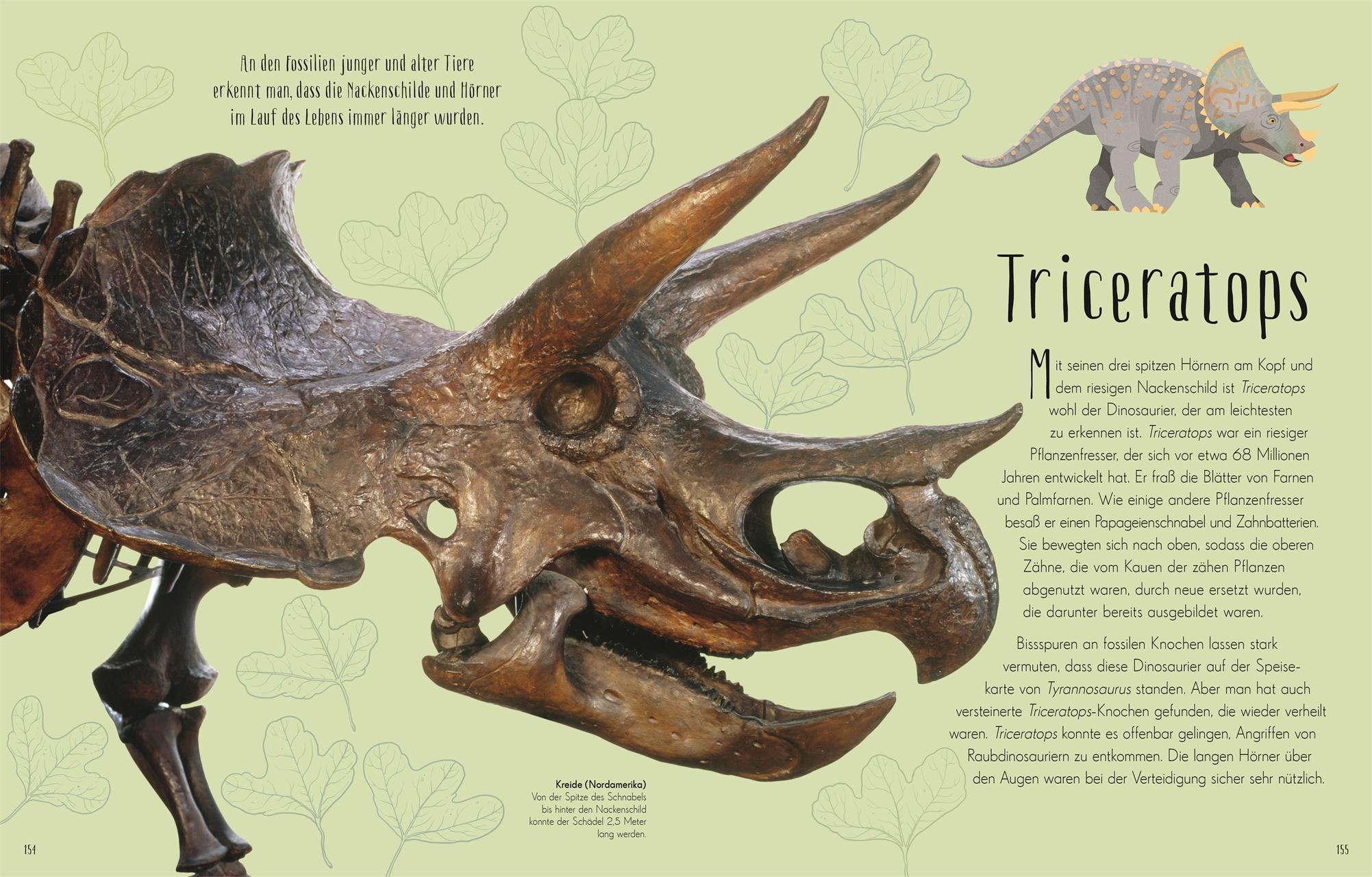 Wundervolle Welt der Dinosaurier und der Urzeit / Wundervolle Welt Bd.4