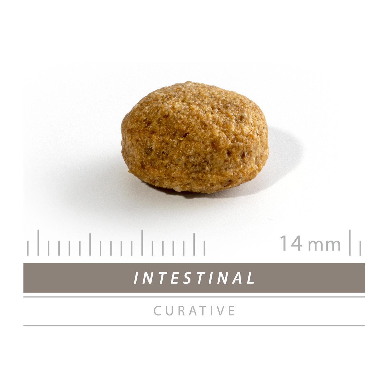 SANIMED Intestinal Dog