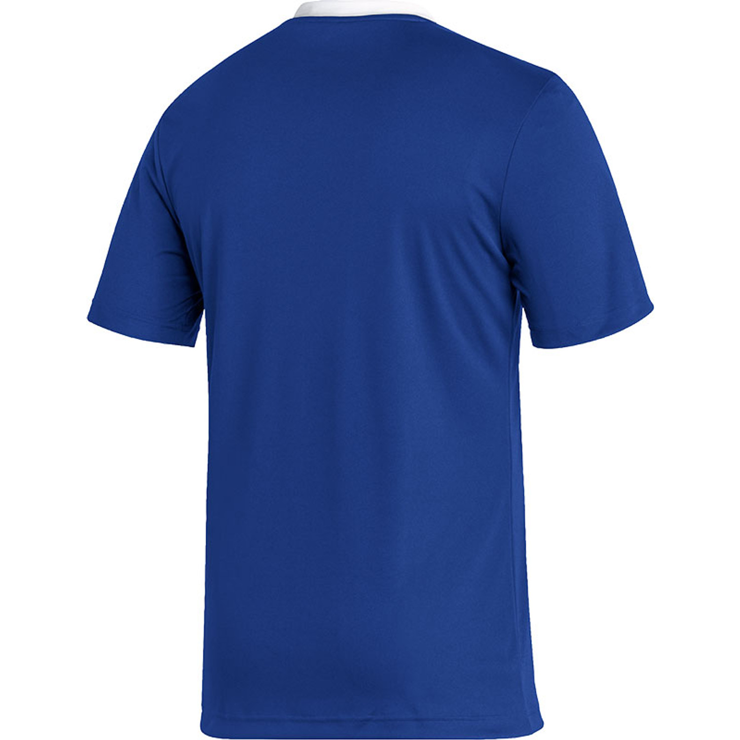 adidas Entrada 22 Training Shirt