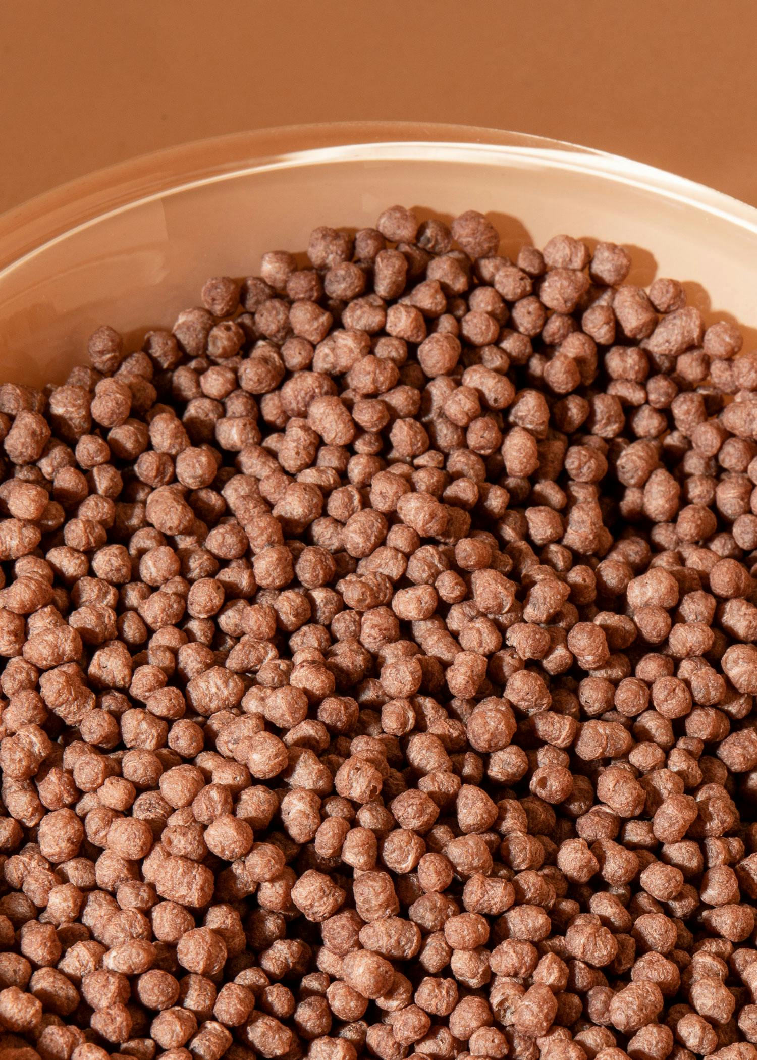 Soja Protein Crispies mit Kakao und 58 % Protein 1 kg