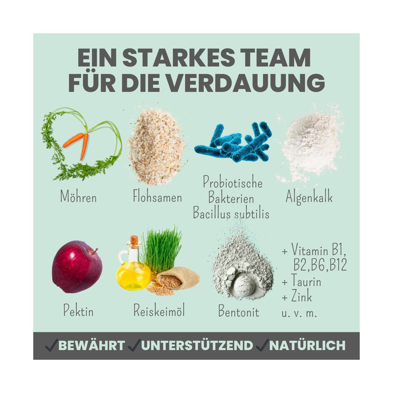 noms+ Verdauungsmix für Hunde als Probiotikum 150g