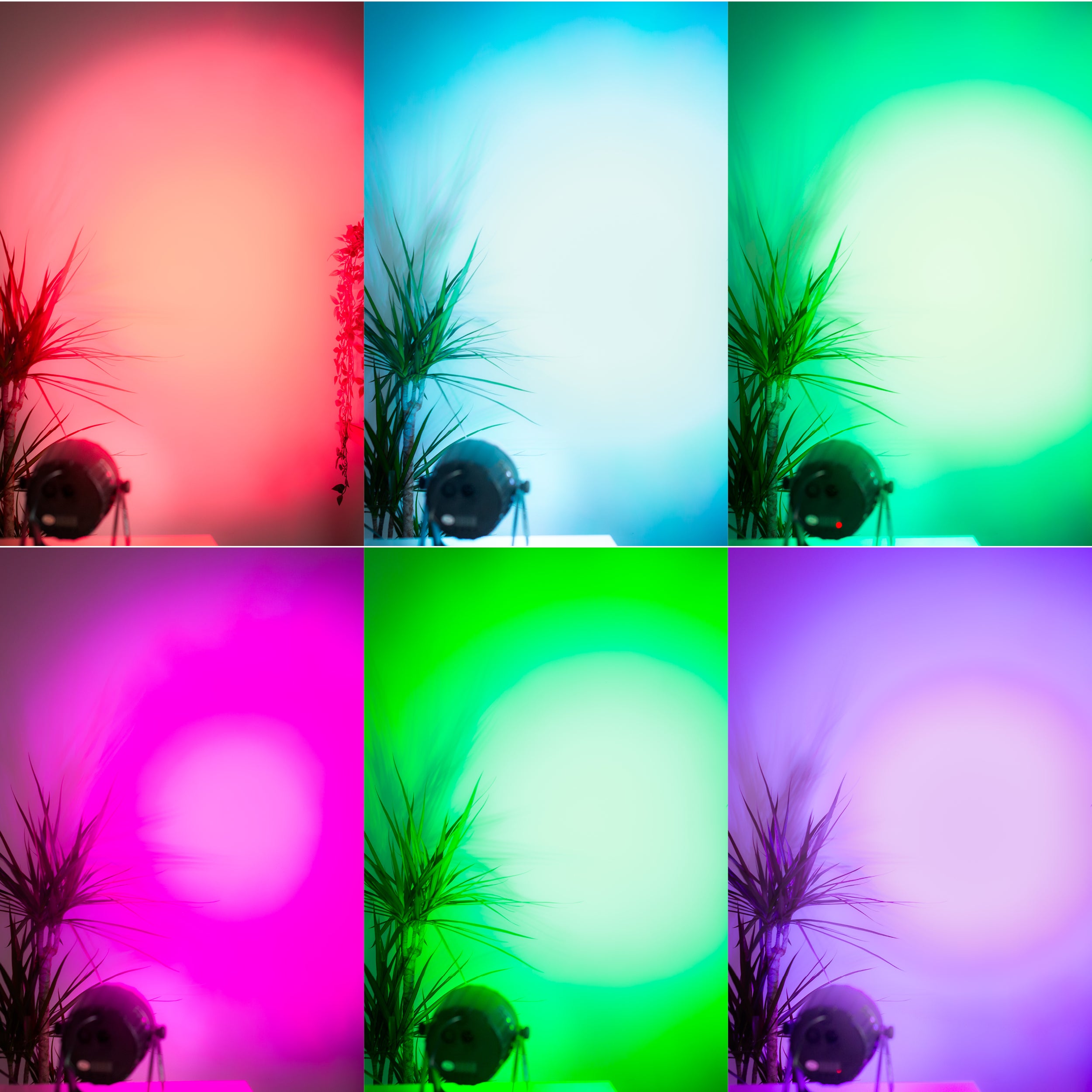 Ayra DanceFX SP12X3 RGB LED spotlight