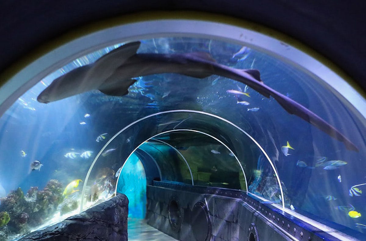 Sea Life Konstanz